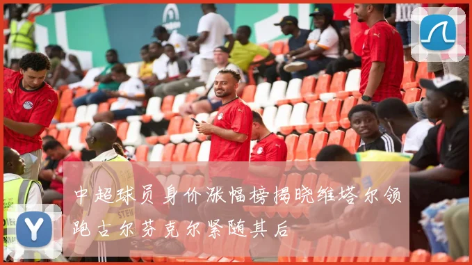 中超球员身价涨幅榜揭晓维塔尔领跑古尔芬克尔紧随其后