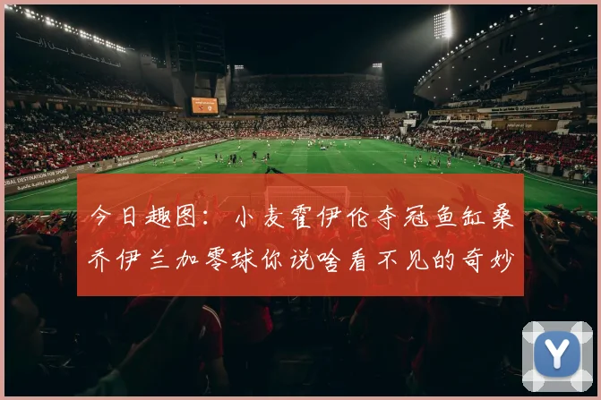 今日趣图：小麦霍伊伦夺冠鱼缸桑乔伊兰加零球你说啥看不见的奇妙瞬间