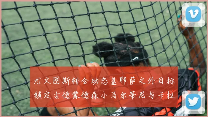 尤文图斯转会动态基耶萨之外目标锁定古德蒙德森小马尔蒂尼与卡拉斯科