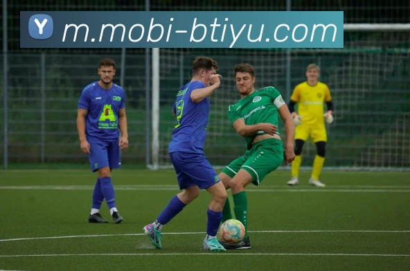 B体育平台生态图